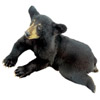 Br - bear - ours - orso - oso