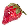 Erdbeere - strawberry - fraise - fragola - fresa