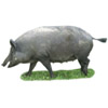 Schwein - pig - cochon - porco | maiale - cerdo
