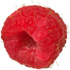 Himbeere - raspberry - framboise - lampone - frambuesa